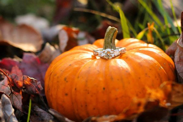 468325338_10162505999151942_4092800631173181095_n-2